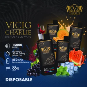 VICIG CHARLIE Disposable Vape 15000 Puffs