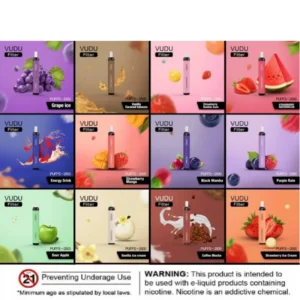 VUDU-Filter-2500-Puffs-5-Disposable-Buy-in-Dubai-1.webp